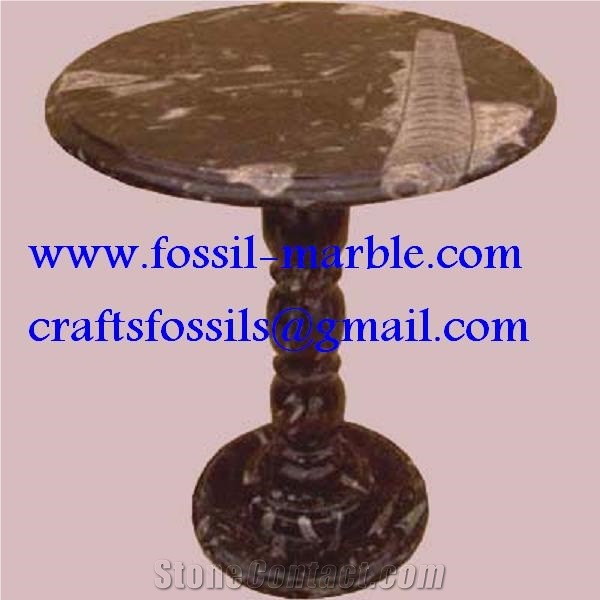 Fossil Brown Limestone Table, Fossil Limestone Brown Marble