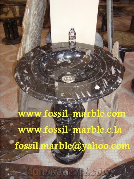 Fossile Nero Liemstone Pedestal Sinks, Wash Basins, Fossil Black Limestone