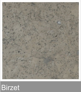 Birzeit Grey Limestone Tile