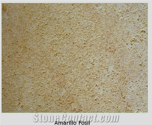Amarillo Fosil Sandstone Tiles, Spain Yellow Limestone