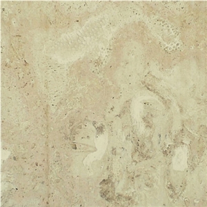 Mexican Coral Stone Tile, Mexican Shell Stone Sawn Cut Tiles
