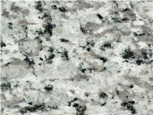 Tianshan White Granite Slabs & Tiles