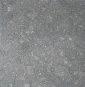 Seagrass Grey Limestone Slabs & Tiles