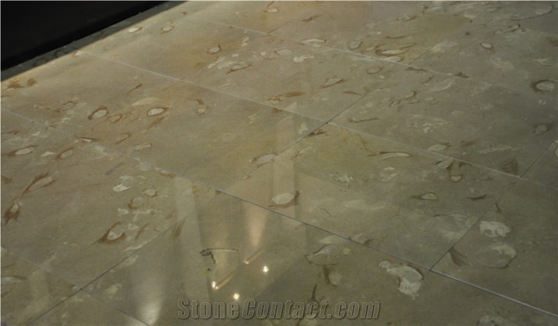 Shell Beige Limestone Floor Tile