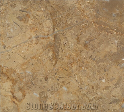 Breccia Sinai Limestone Slabs & Tiles,Egypt Beige Limestone