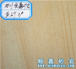 Fossil Sandstone