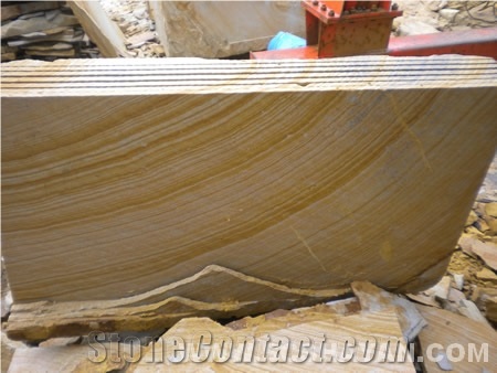 Fossil Sandstone Slabs, Wall Products