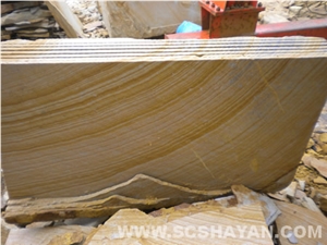 Fossil Sandstone Slabs, Wall Products
