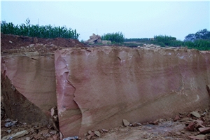 QC-sandstone Quarry-fossil Mint