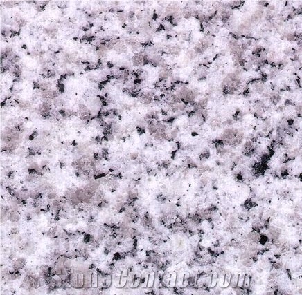 G603 Granite, Padang White Granite Tiles