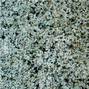 Green Rice Granite Slabs & Tiles