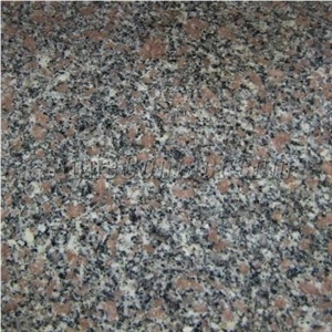 Violet Khanh Hoa Granite Slabs & Tiles