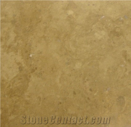 Chocolate 18x18 Honed and Filled Travertine Tile
