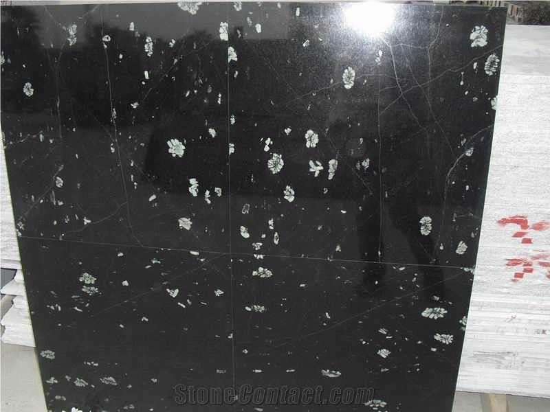 Black Peony Granite Slabs & Tiles