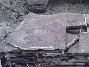 Fossil Sandstone Flagstone Natural Stone