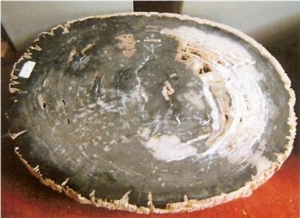 Petrified Wood Stone Tabletop