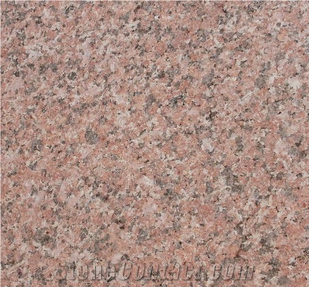 Shidao Red Granite Tile,G386 Granite