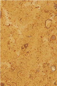 Golden Fossil Limestone Tile