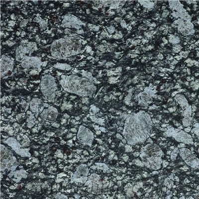 Oyster Pearl Granite Slabs & Tiles, India Grey Granite