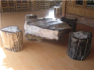 Petrified Wood Bench and Table Set