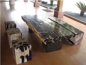 Petrified Wood Ractangle Table
