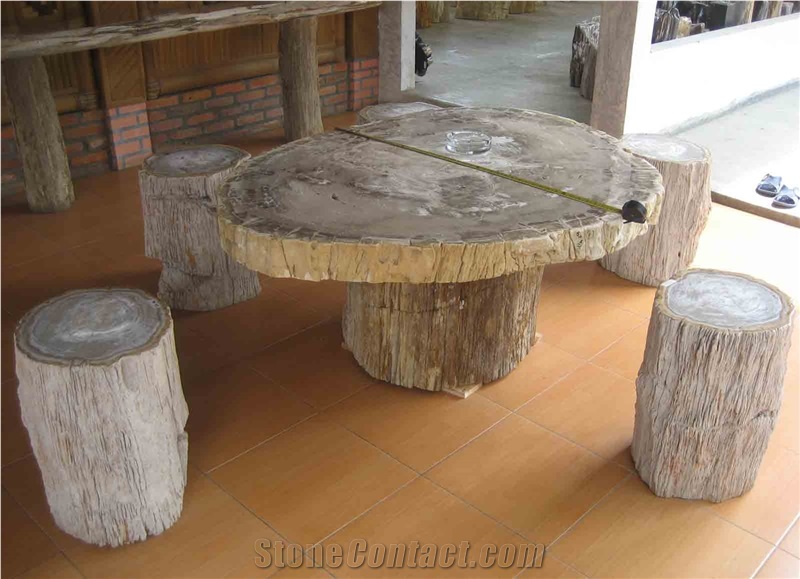 Petrified Wood Table Slab