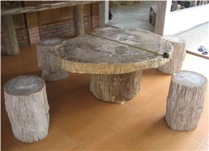 Petrified Wood Table Slab