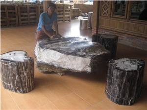 Petrified Wood Table Top
