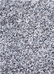 Bianco Tarn Granite Tile, France Grey Granite