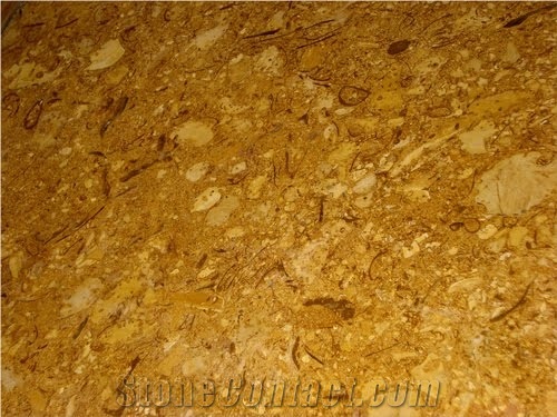 Fossil Gold Sandstone Tile