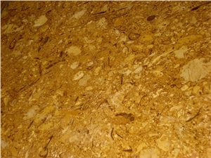 Fossil Gold Sandstone Tile