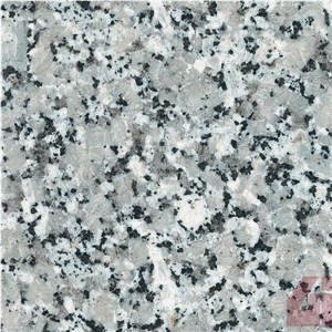 Albero Grey, Albero Blanco Granite Tile