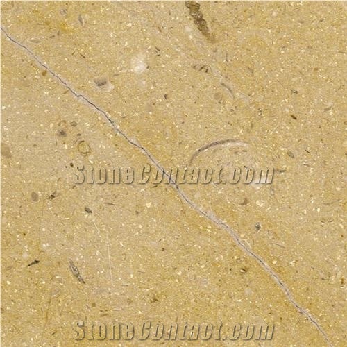 Sinai Limestone Tile,Egypt Yellow Limestone