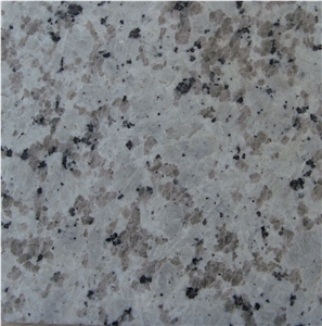 Bala White Granite (G439, Guangdong White)