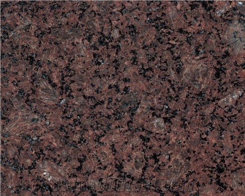 Darwin Brown Granite Tiles, India Brown Granite