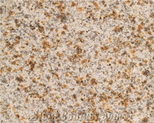 Shandong Gold, Sh ,ong Gold Granite Tiles