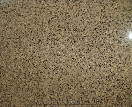 New Merry Gold Tile,India Brown Granite