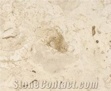 Mexican Shell Stone Limestone Slabs & Tiles