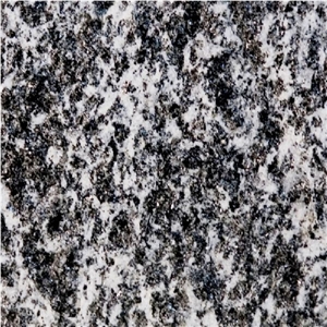 Serizzo Antigorio Passo Granite Tile, Italy Grey Granite