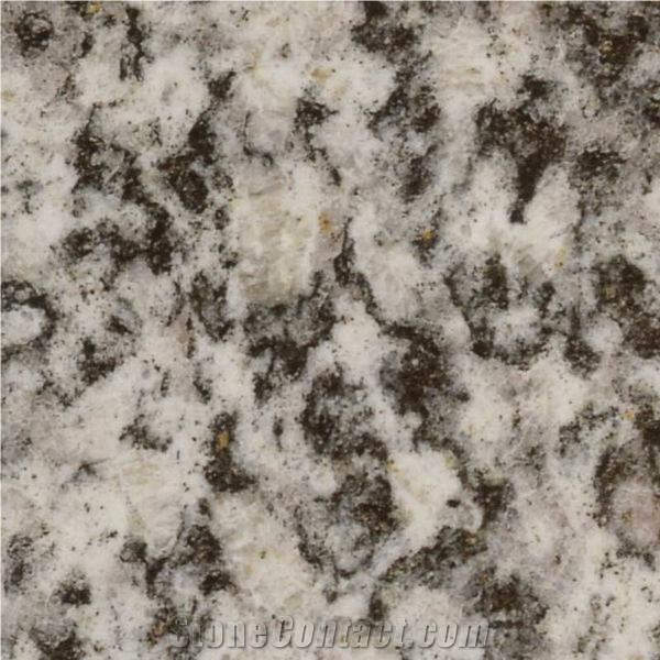 Serizzo Formazza Chiaro Granite Slabs & Tiles