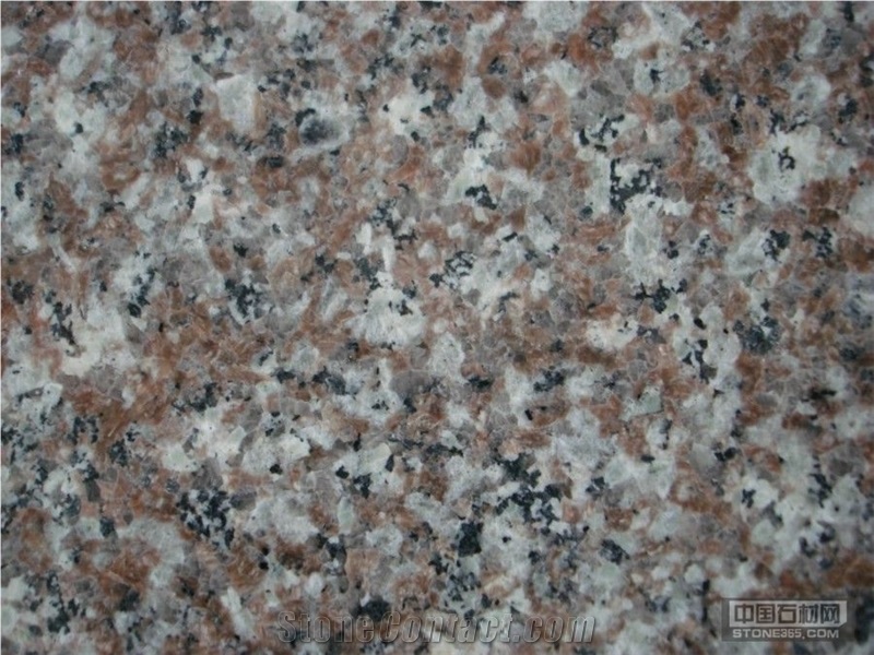 Luoyuan Red Granite,G664 Granite Tile