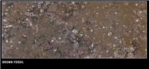 Fossil Brown Limestone Tile