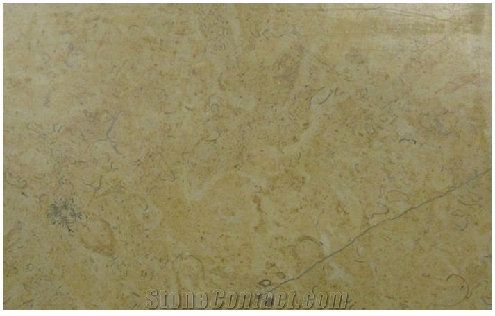 Benjamin Gold Limestone Tile,Israel Yellow Limestone