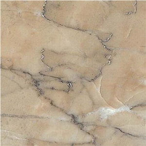 Bolan Tiger, Tiger Beige