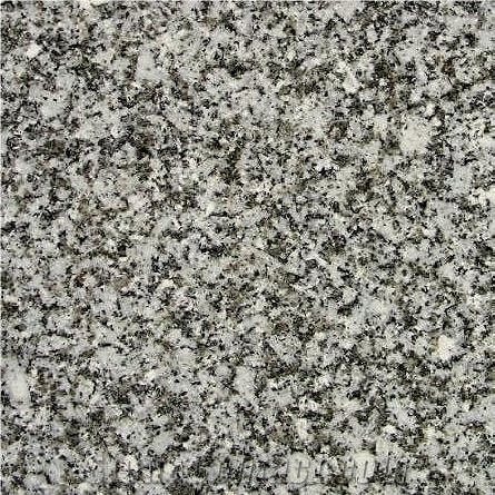 Gris Fino Granite Slabs & Tiles,Spain Grey Granite