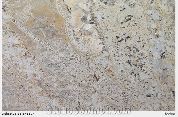 Delicatus Splendour Granite Tile, Brazil White Granite