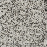 Gris Parga Granite Slabs & Tiles, Spain Grey Granite