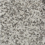 Gris Parga Granite Slabs & Tiles, Spain Grey Granite