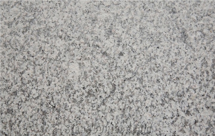 Gris Alba Granite Slabs & Tiles,Spain Grey Granite