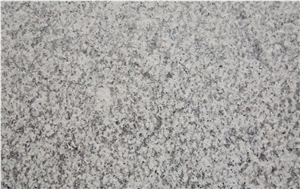 Gris Alba Granite Slabs & Tiles,Spain Grey Granite